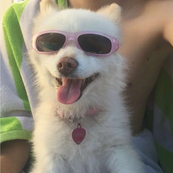 Dog sunglasses Doggoogles Pink with Velcro straps. XS-S - Picture 6 of 8